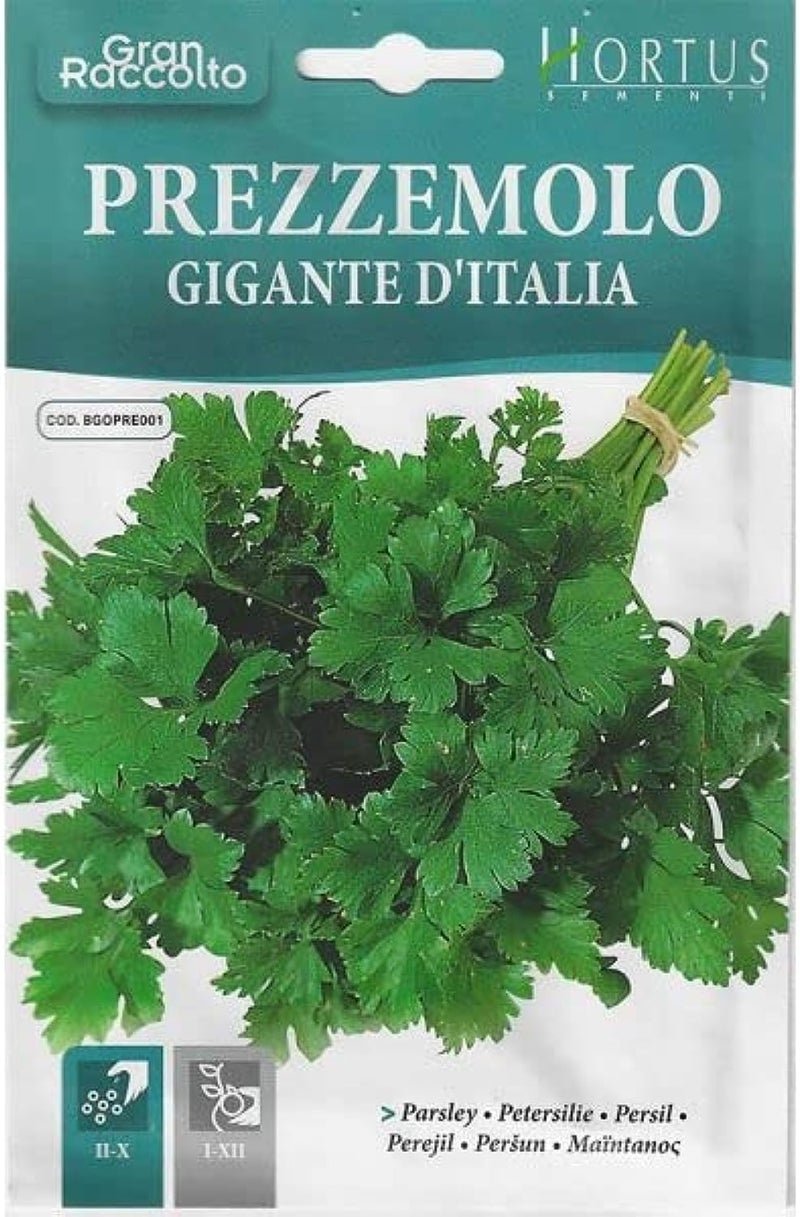 Hortus Prezzemolo Gigante D'Italia Premium Quality Parsley Seeds - Made in Italy - Image 1