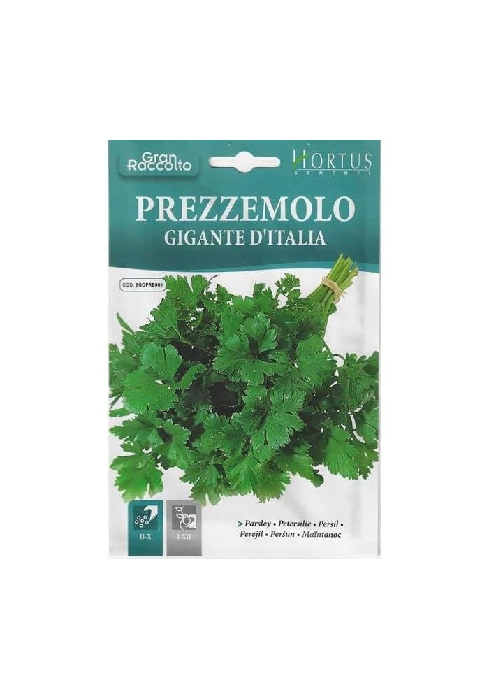 Hortus Prezzemolo Gigante D'Italia Premium Quality Parsley Seeds - Made in Italy - Image 2