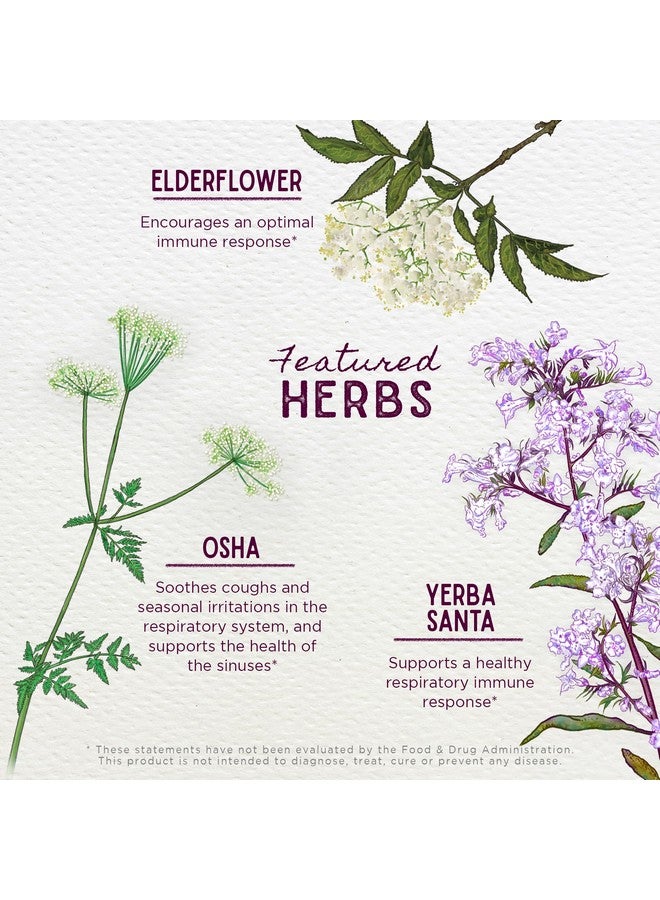 WishGarden Herbs Kick-It Immune for Kids - Immune Support Supplement for Kids, Herbal Immune Defense & Immune Booster with Echinacea, OSHA, Elder, Rapid Baby and Toddler Immune Support Formula, 2oz - Image 4