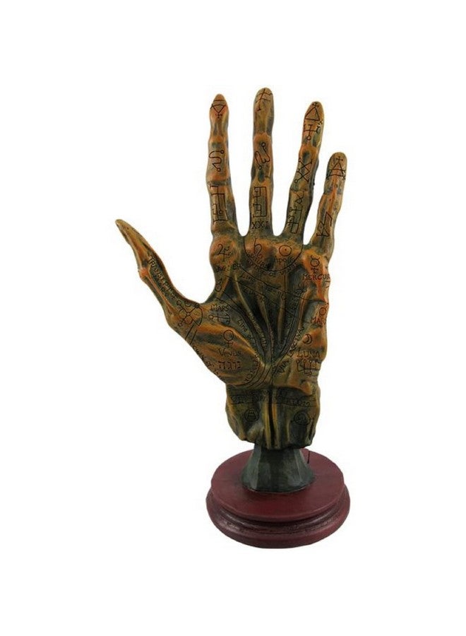 F.e.s.s. Alchemy Mummified Palmistry Hand Gothic - Image 1