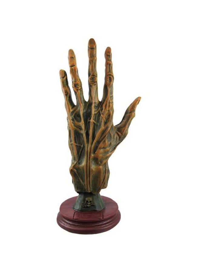 F.e.s.s. Alchemy Mummified Palmistry Hand Gothic - Image 2