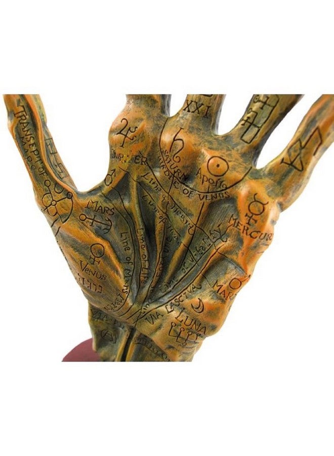 F.e.s.s. Alchemy Mummified Palmistry Hand Gothic - Image 4
