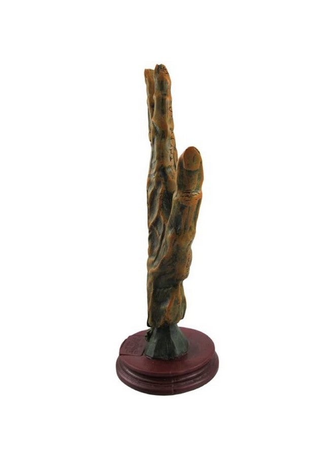 F.e.s.s. Alchemy Mummified Palmistry Hand Gothic - Image 3