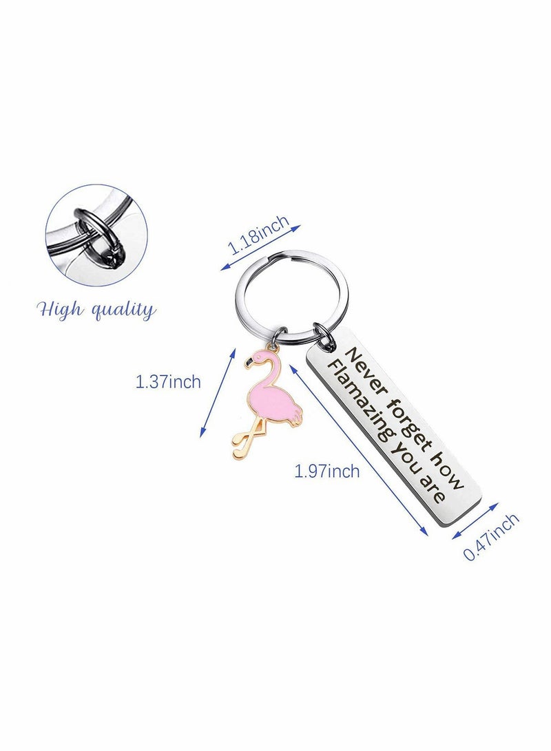 إكسفور سلسلة مفاتيح فلامنغو لا تنس أبدًا مدى اشتعالك سلسلة مفاتيح فلامنغو عاشق مجوهرات هدية لعشاق الحيوانات BFF - Image 4