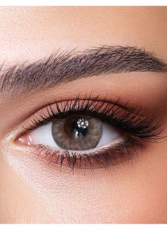 Rosewood Oneday Color Contact Lenses - 10 Lenses