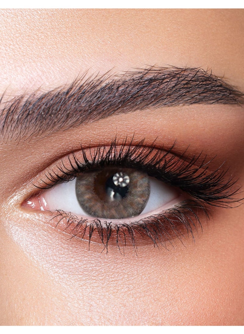 Bella - Rosewood Oneday Color Contact Lenses - 10 Lenses - Image 1