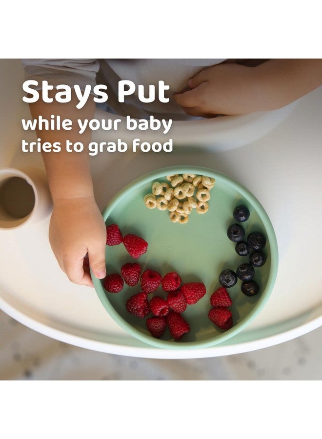 APLAINR Solid Plate, Weighted Baby Toddler Plate, Silicone Plates for Baby, No-Division Kid Plates, Microwave & Dishwasher Safe Silicone Plate for Toddlers, No BPA, Oat Cream - Image 4