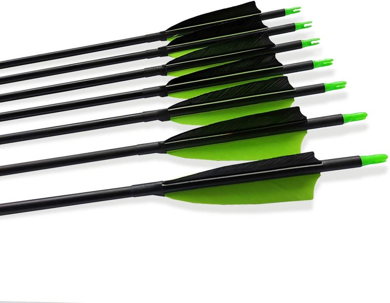 PANDARUS Archery 31-Inch Carbon Hunting Arrows, Turkey Feather Fletching with Replaceable Points, Targeting Practice Arrows Spine 500 for Recurve Bow, Longbow, Traditional Bow - Image 4