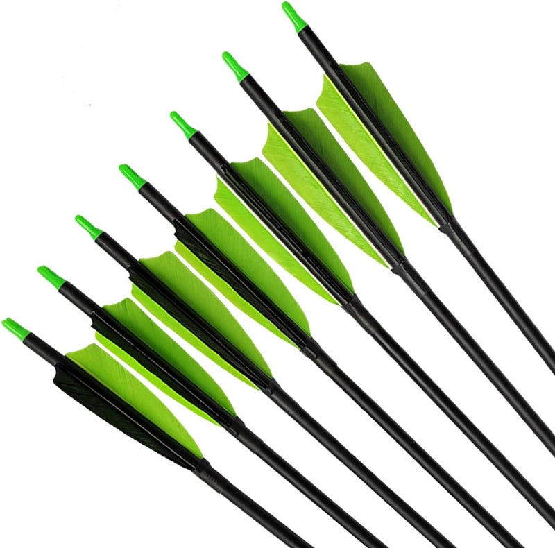 PANDARUS Archery 31-Inch Carbon Hunting Arrows, Turkey Feather Fletching with Replaceable Points, Targeting Practice Arrows Spine 500 for Recurve Bow, Longbow, Traditional Bow - Image 5