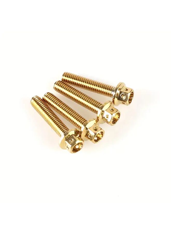 M6x1 25x15mm 10PCS Titanium Gold Vacuum Plated 304 Stainless Steel Hex Flange Head Motorcycle Engine Screws - Image 5