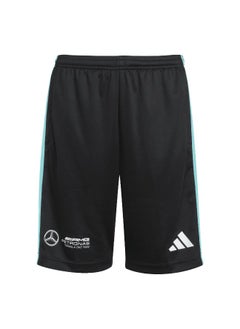 adidas mercedes - amg petronas formula one team dna unisex shorts