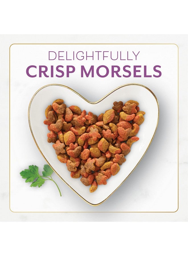 Fancy Feast Y Feast Dry Cat Food With Savory Chicken And Turkey  16 Oz Bags (Pack Of 4) - Image 2