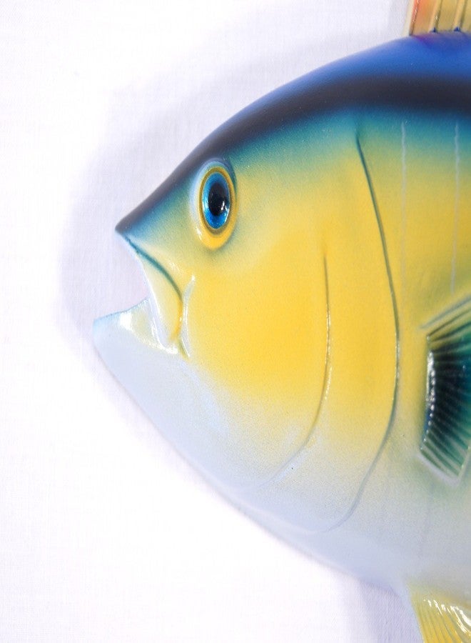Lx Hand Painted 12" Yellow Fin Tuna Salt Water Game Fish Wall Mount Decor Plaque - Image 3