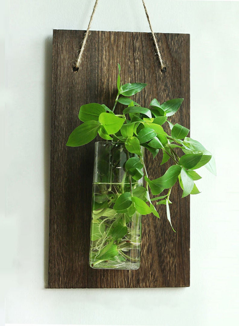 Generic Plant Wall Mounted Water Pot With Wood  - Image 1