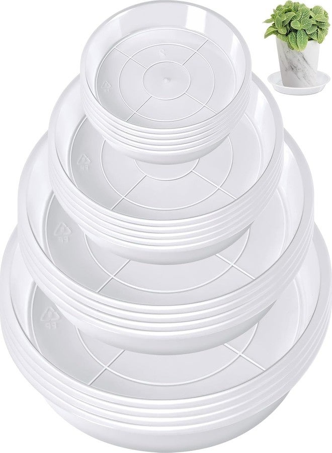 Augshy 18-Piece Flowerpot Tray, Clear Plant Pot Saucers, Reliable Plant Trays for Pots,4/6 Inches Transparent Plant Pot Trays, Water-Repellent Plant Saucers for Gardens, Balconies and Indoors - Image 1