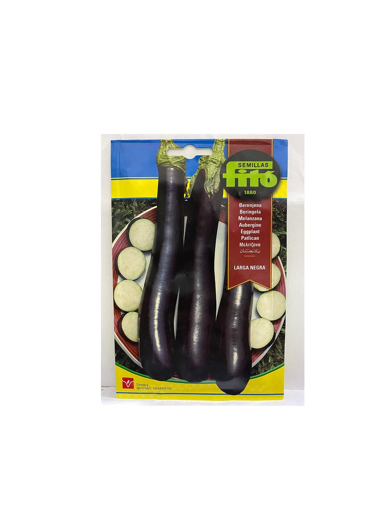 Fito - FITO SEEDS LARGE EGGPLANT 5 Grams - Image 1