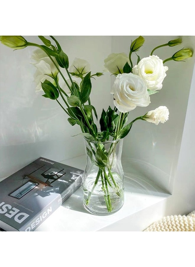 Extreme Space Jidukongjian Glass Vase For Flower Arrangement, Lucky Bamboo, Bouquet, Hydroponic Cultivation, Eco-friendly Vase, Flower Pot, Nordic Style Decorative Vase Ornament - Image 2