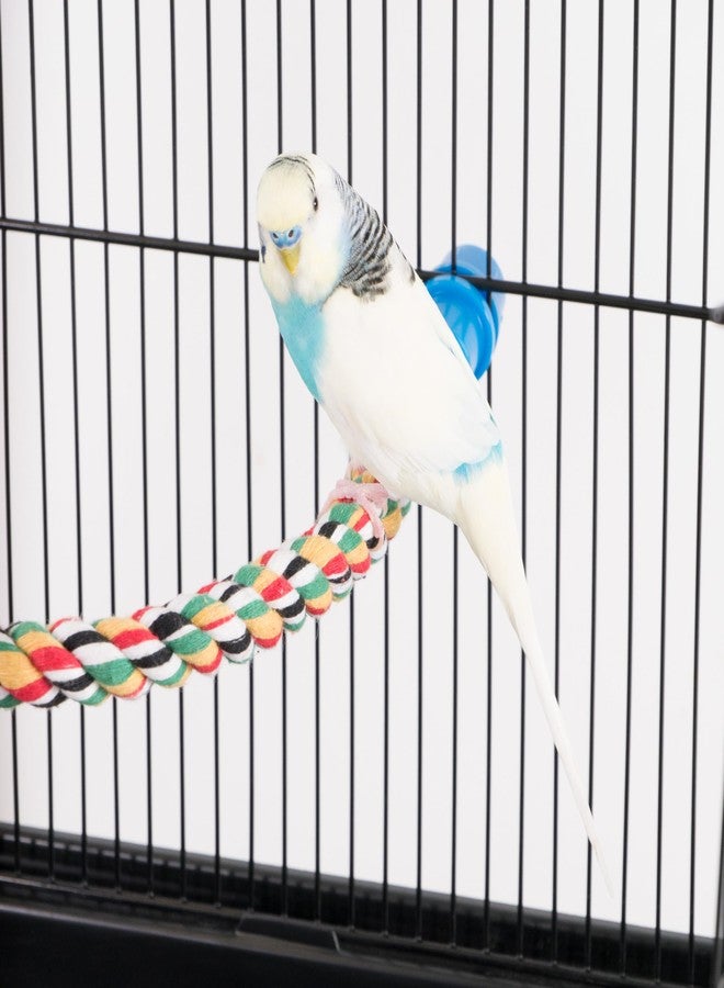 بين بلاكس مجثم حبل مرن ومتعدد الألوان من PENN-PLAX Bird Life - اصنع منحنيات وانحناءات ملونة وممتعة - مثالي للطيور الصغيرة والمتوسطة - طول 21 بوصة - Image 3