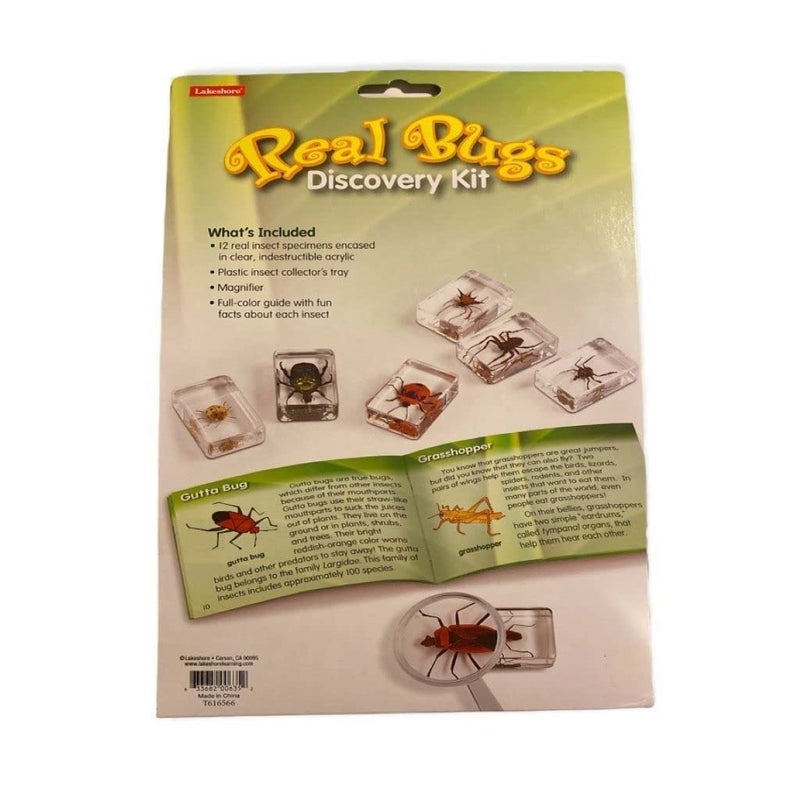 Lakeshore Real Bugs Discovery Kit - Image 4
