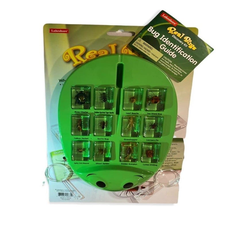 Lakeshore Real Bugs Discovery Kit - Image 3