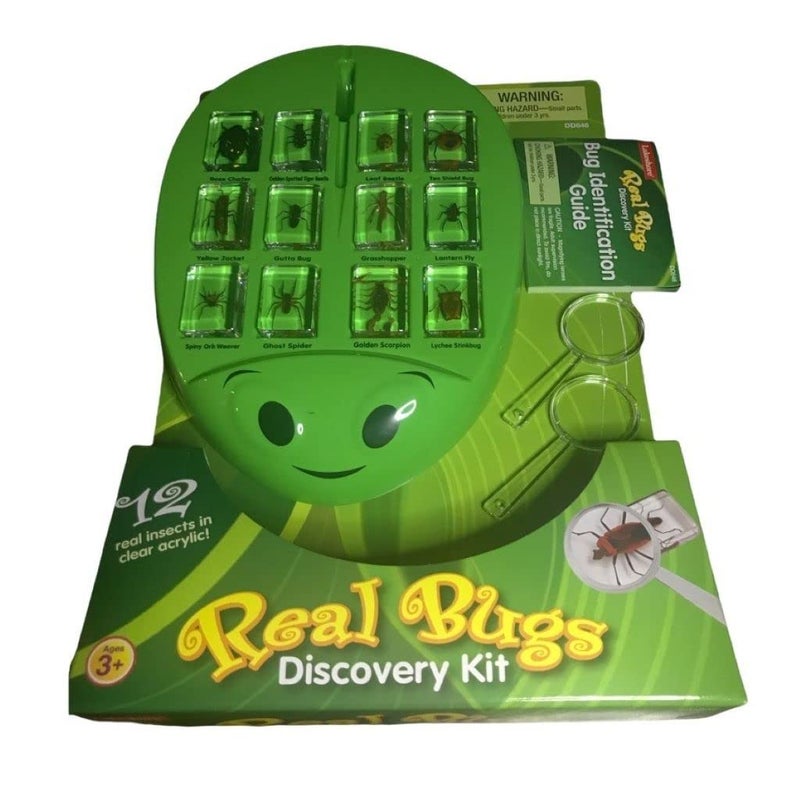 Lakeshore Real Bugs Discovery Kit - Image 2