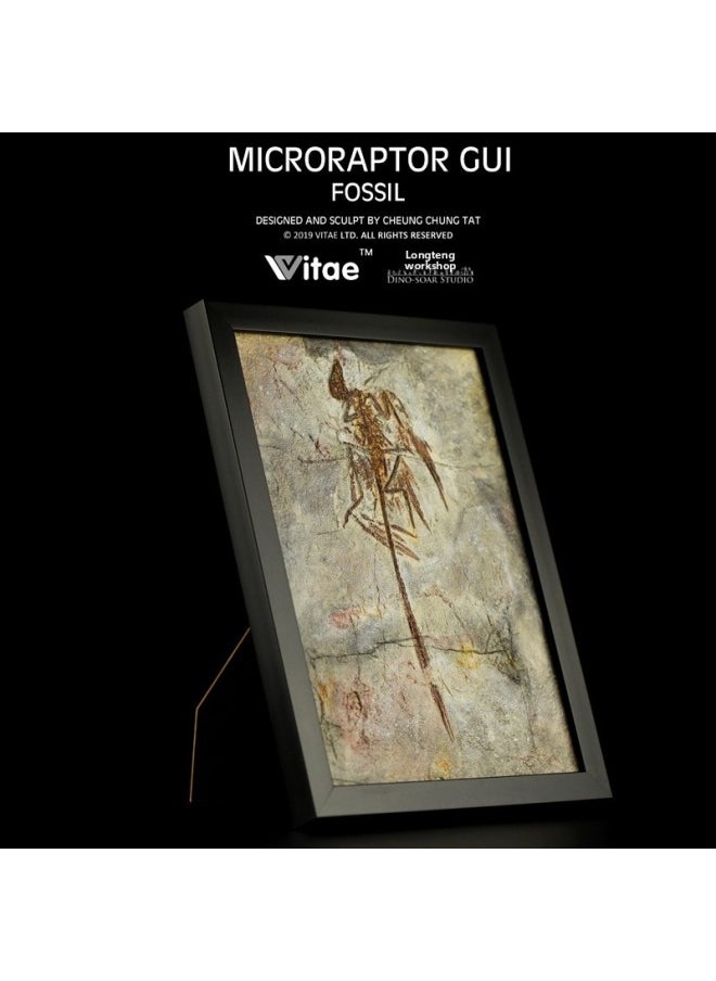 Vitae Is Its Jurassic Dinosaur Tyrannosaurus Rex Bone Fossil Board Set Table Photo Frame Home Decorations-Color:Microraptor  - Image 1