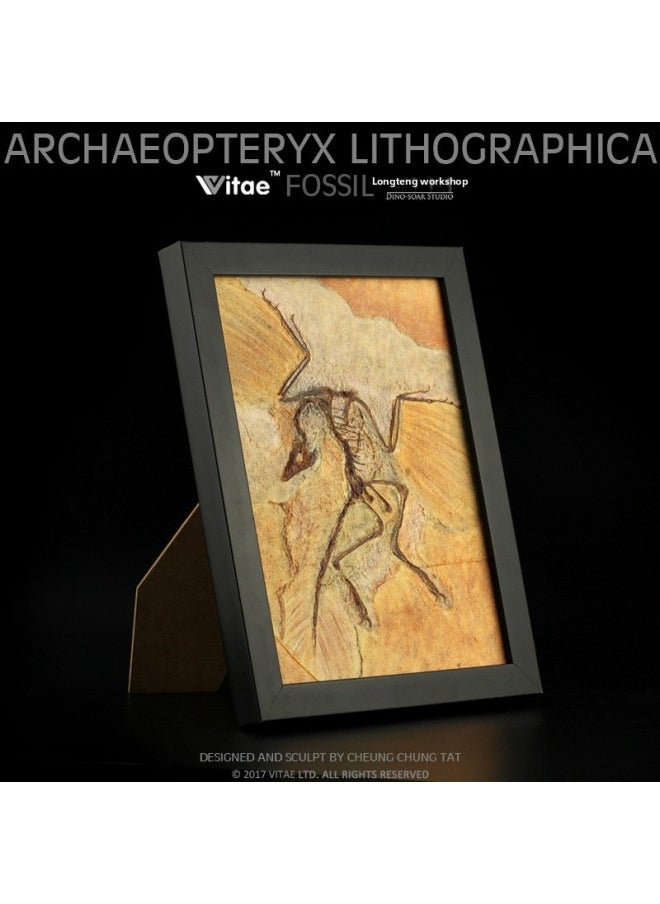 Vitae Is Its Jurassic Dinosaur Tyrannosaurus Rex Bone Fossil Board Set Table Photo Frame Home Decorations-Color:Microraptor  - Image 4