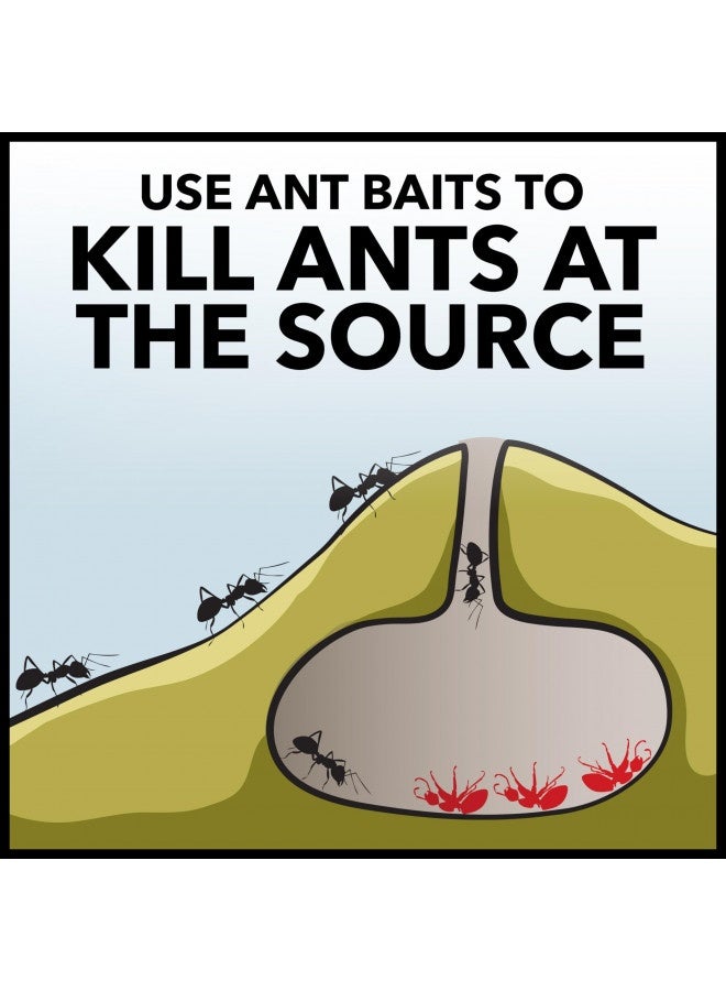 Raid Ant Killer Baits, Child Resistant Bug Killer For Indoor Home Use, 0.24 Oz, 8 Count - Image 1