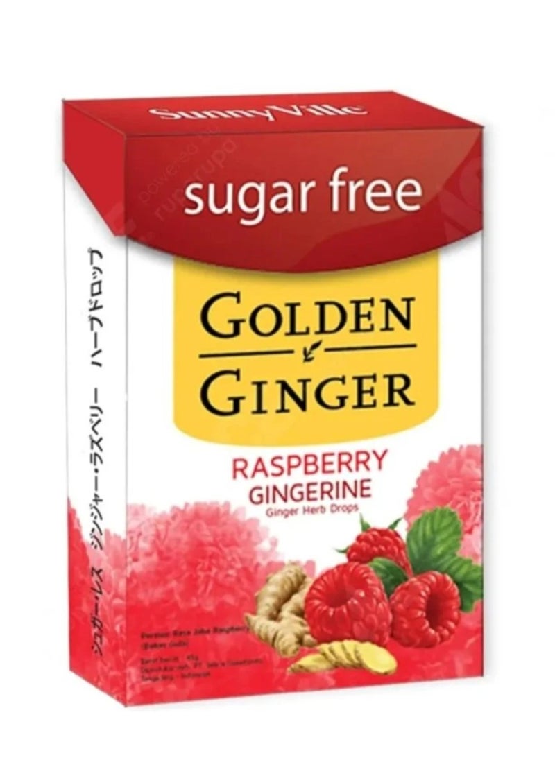 GOLDEN GINGER - Raspberry Ginger Fliptop  Sugar Free 45gr - Image 1