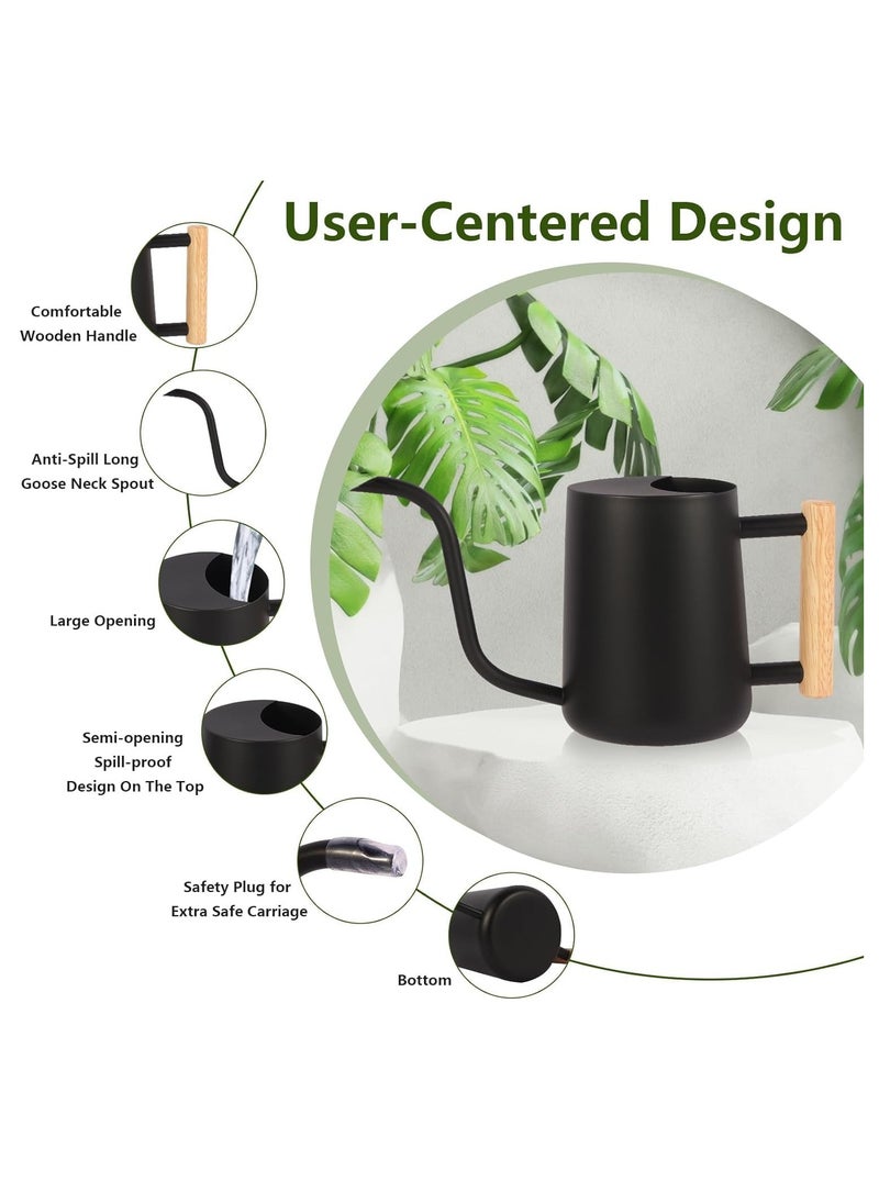 Captaintech Stainless Steel Watering Can with Long Spout, 35oz Indoor Watering Pot for House Plants, Bonsai, and Outdoor Garden Flowers - Elegant Black Design  - Image 2