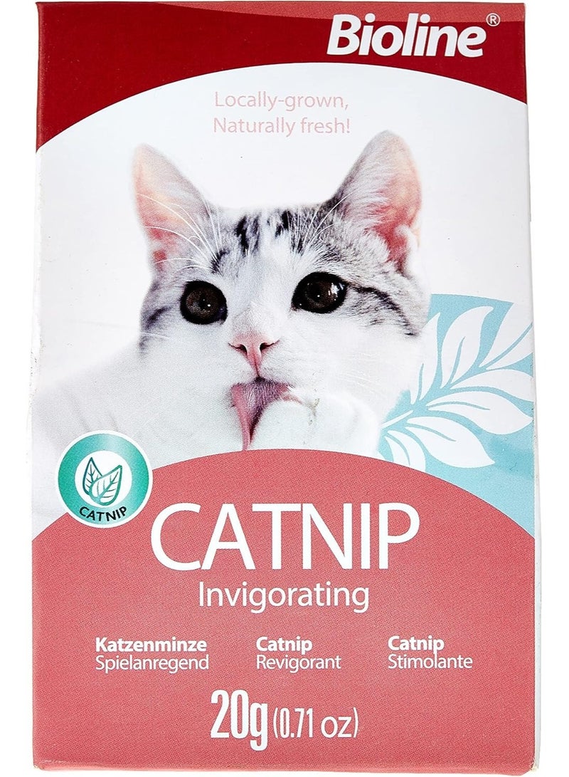 بايولاين عشبة النعناع البري للحيوانات الأليفة، 20 جرام، متعدد الألوان - Image 1