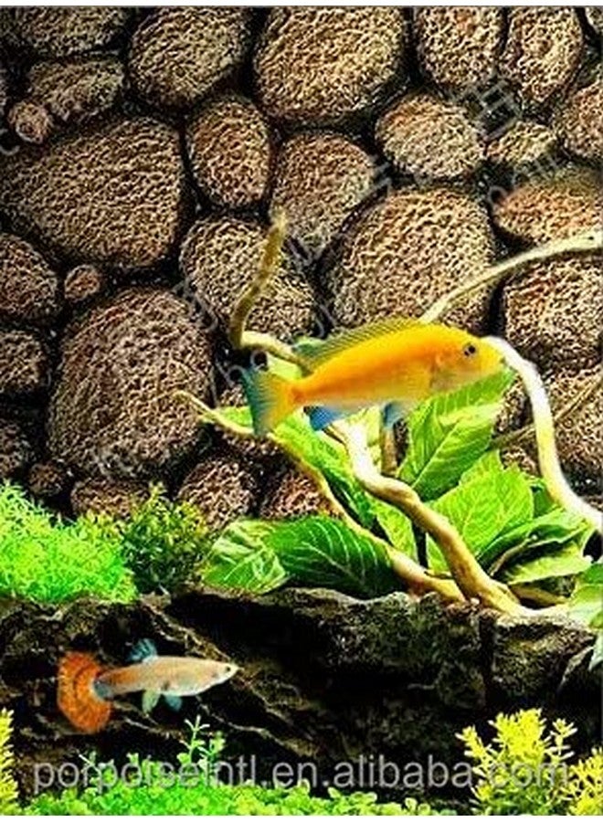 VAYINATO Petzlifeworld Porpoise Aquarium 3D Background Foam (60 * 45) Cm - Pebbles On The Floor Design - Image 2