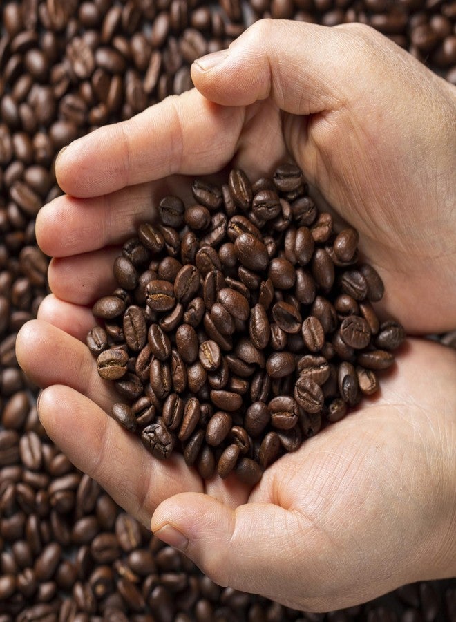 THE BEAN CO مزيج أرابيكا من ذا بين كو روستر | تحميص داكن | قهوة فاخرة | 100% أرابيكا | قهوة محمصة مطحونة (مكبس فرنسي، 250 غرام) - Image 3