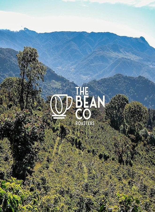 THE BEAN CO مزيج أرابيكا من ذا بين كو روستر | تحميص داكن | قهوة فاخرة | 100% أرابيكا | قهوة محمصة مطحونة (مكبس فرنسي، 250 غرام) - Image 5
