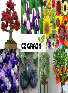 GGOOT Purple Lilac Seeds for Planting - 50 Seeds - Stunning Purple Flowers, Great for Landscaping or Bonsai Specimen  - Image 3