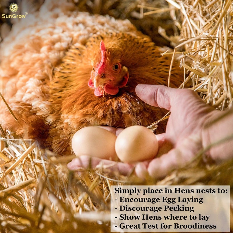 SunGrow Fake Wooden Eggs to Train Birds from Laying in The Nesting Boxes & to Stop from Eating Own Eggs, Brown Color, 2 Pack Suitable for Chicken and Duck - Image 5