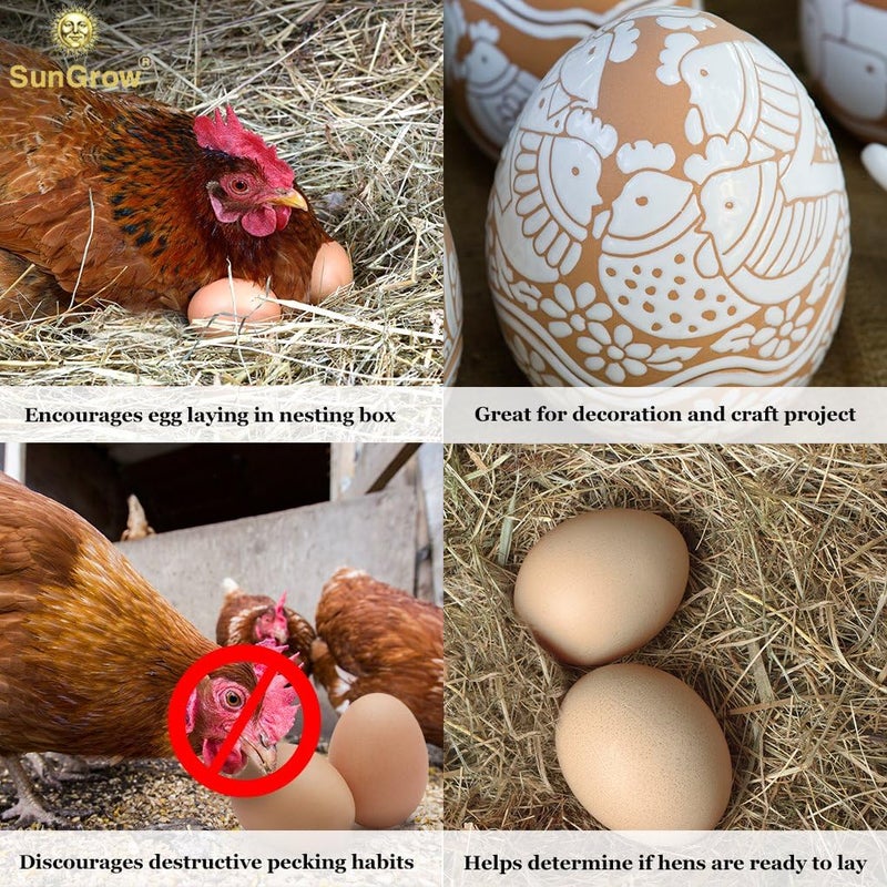 SunGrow Fake Wooden Eggs to Train Birds from Laying in The Nesting Boxes & to Stop from Eating Own Eggs, Brown Color, 2 Pack Suitable for Chicken and Duck - Image 3