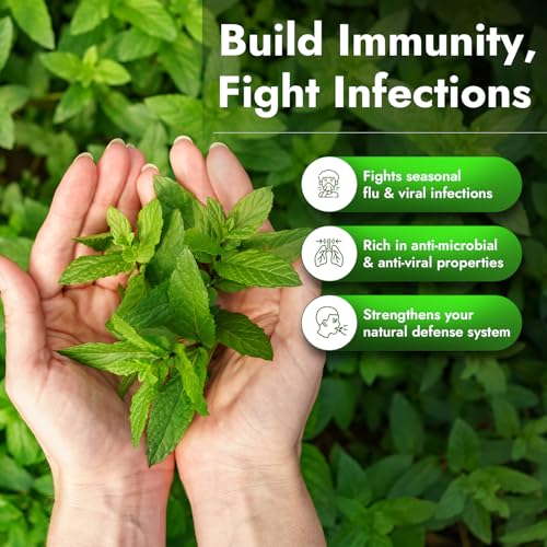 Nutriorg Tulsi Ark || Natural Immunity Boosting - 30 ml - Image 4