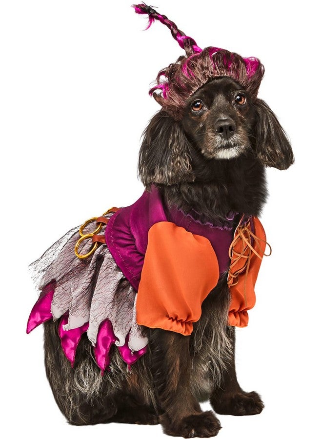 Rubies Disney Hocus Pocus Mary Sanderson Pet Costume and Wig, As Shown, Large for Themed Parties and Halloween - Image 1