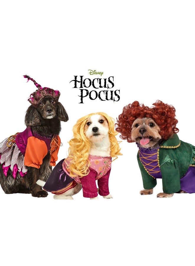 Rubies Disney Hocus Pocus Mary Sanderson Pet Costume and Wig, As Shown, Large for Themed Parties and Halloween - Image 4