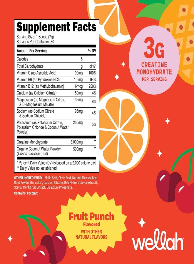 Wellah Creatine + Hydration Powder (Fruit Punch) 30 Servings - Electrolyte Drink Mix with 3g of Creatine Monohydrate - Image 2