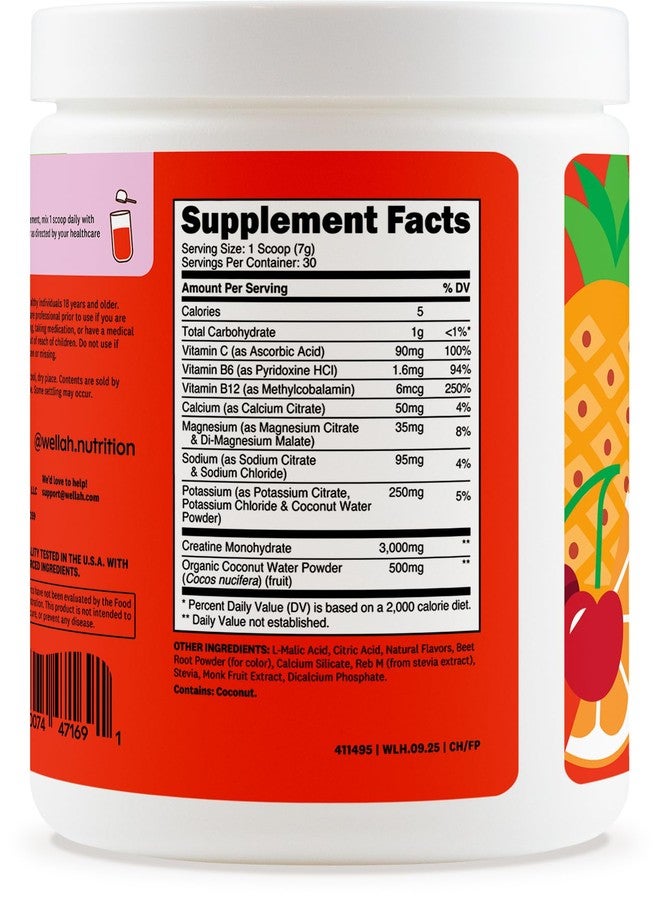 Wellah Creatine + Hydration Powder (Fruit Punch) 30 Servings - Electrolyte Drink Mix with 3g of Creatine Monohydrate - Image 4