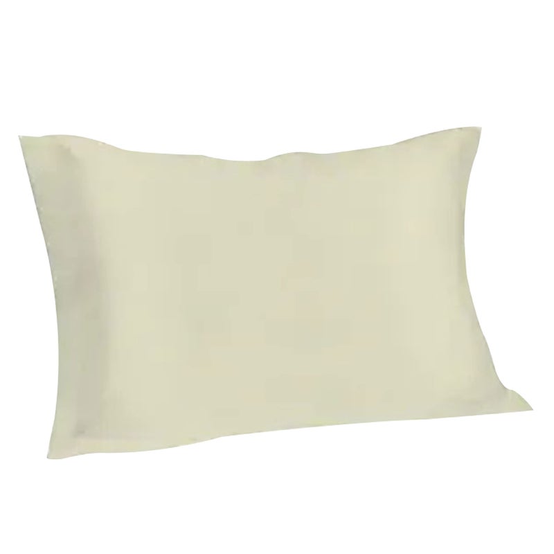 Spasilk Pure Silk Pillowcase Charmeuse Silk Pillowcase Hypoallergenic Queen Sized Ivory