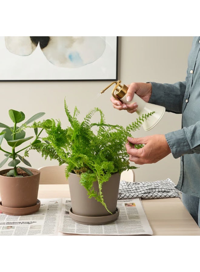 Ivory & Gold Plant Mister – 350 ml Indoor & Outdoor Plant Spray Bottle, Stylish and Functional - Image 3