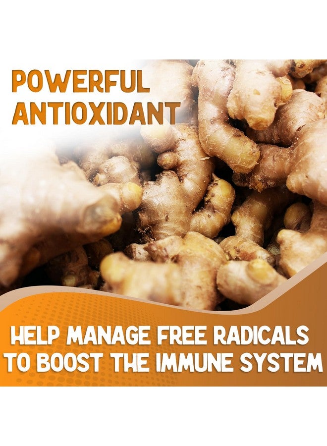 XPRS Nutra Ginger Powder - Premium Ground Ginger Root Powder with Potent Spicy Flavor - Ground Ginger Powder - Vegan Friendly Sustainably Grown Powdered Ginger (4 Ounce) - Image 3