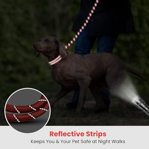 HANK Dog Leash | 3M Reflective Dog Rope | Soft Comfortable Handle | Heavy Duty Belt Hook | (Suitable Up to 10KG - Small Breed) - 5 Feet Long (S - Red) - Image 5