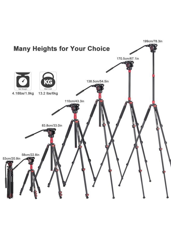 Avella A154P Video Tripod, Video Camera Tripod Monopod Aluminium Alloy 78.3 inch for Canon Nikon Sony Olympus Panasonic DSLR Camera