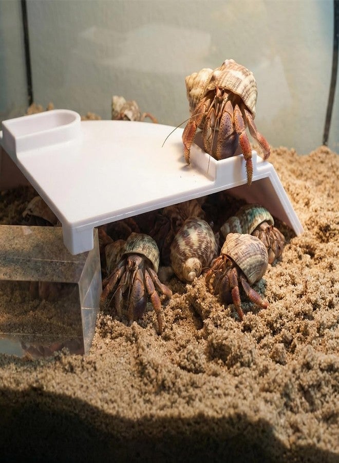 DQITJ 1 Pcs Hermit Crab Cave Habitat Hermit Crab Climbing Toy Tank Accessories (Arc-Shaped Design, White) - Image 4