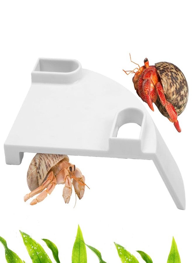 DQITJ 1 Pcs Hermit Crab Cave Habitat Hermit Crab Climbing Toy Tank Accessories (Arc-Shaped Design, White) - Image 1