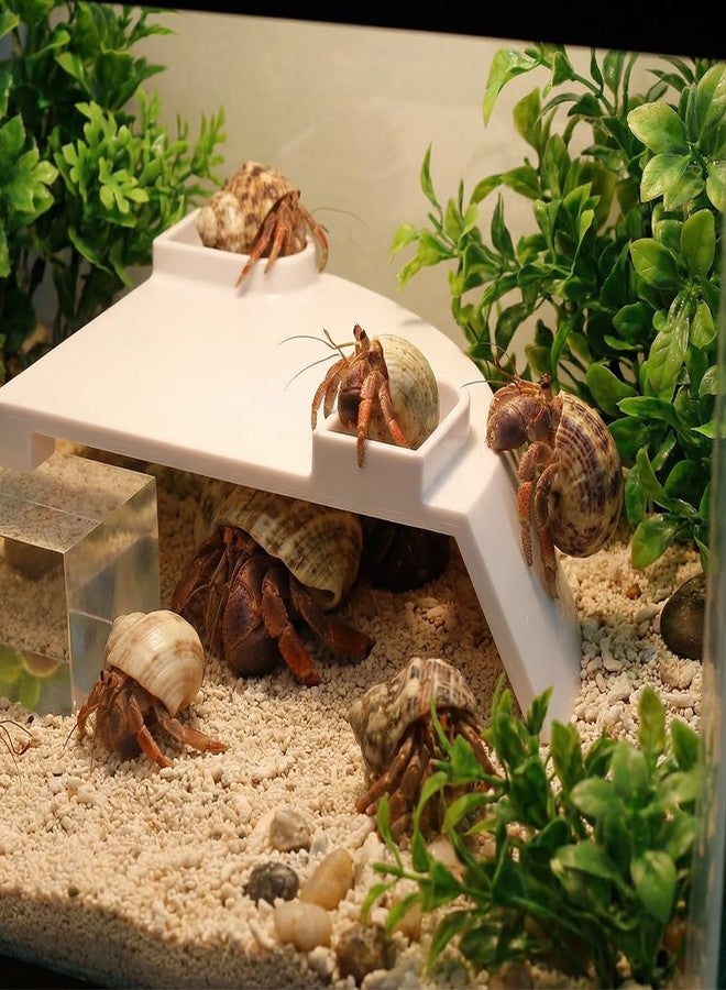 DQITJ 1 Pcs Hermit Crab Cave Habitat Hermit Crab Climbing Toy Tank Accessories (Arc-Shaped Design, White) - Image 3